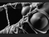 Akt trifft auf dekoratives Bondage