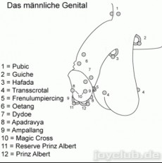 Piercings